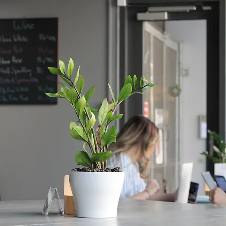 Ξενοδοχείο Comfort Vesterbro 3*