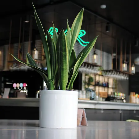 Comfort Vesterbro Kopenhag